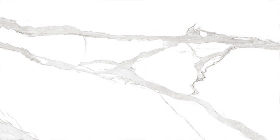 IMPORTILES STATUARIO ELEGANT 60x120