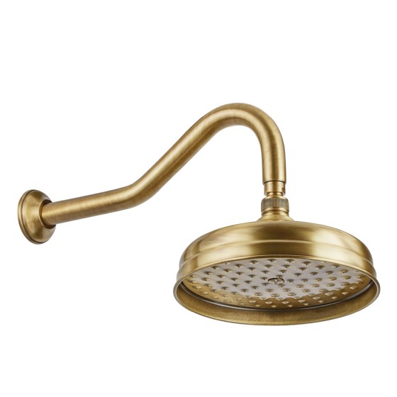 ΚΕΦΑΛΗ ΝΤΟΥΣ Bugnatese Oxford CIV19116 bronze